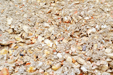 Similar image 8096158