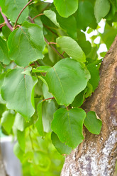 Similar image 8096186