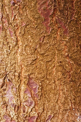 Similar image 8096188