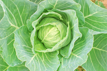 Similar image 8096193