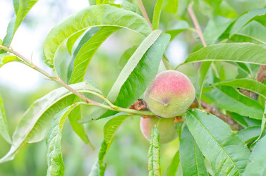 Similar image 8096198