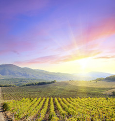 Similar image 8096348