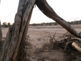 Similar image 8096356