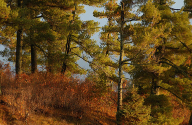 Similar image 8096362