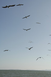 Similar image 8096369