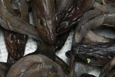 Similar image 8096374