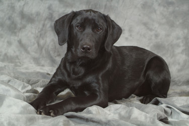 Similar image 8096381