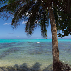 Similar image 8096386