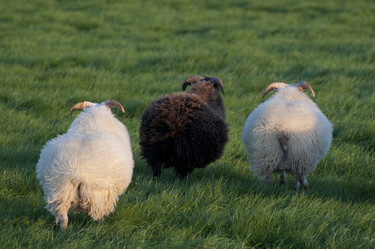 Similar image 8096387