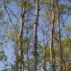 Similar image 8096393