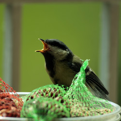 Similar image 8096394