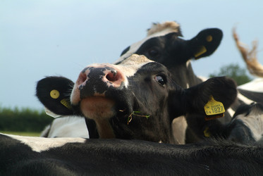 Similar image 8096397