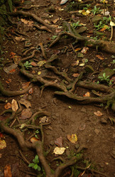 Similar image 8096400