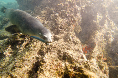 Similar image 8096407