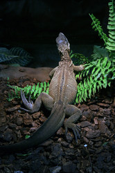 Similar image 8096409