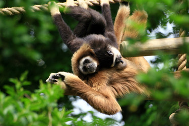 Similar image 8096435