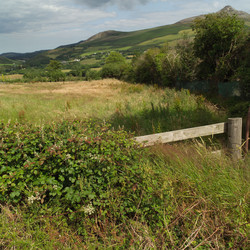 Similar image 8096445