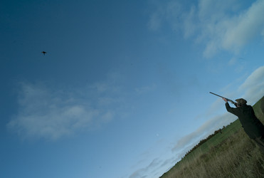 Similar image 8096450