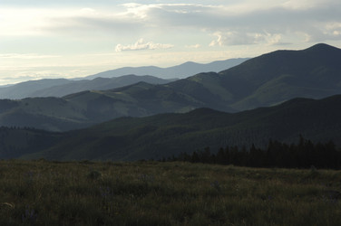 Similar image 8096454