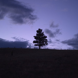 Similar image 8096461