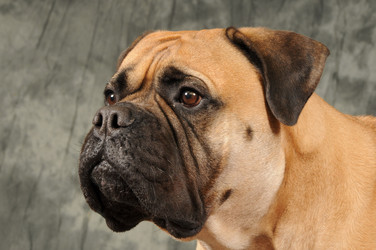 Similar image 8096462