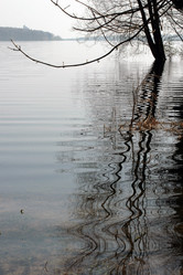 Similar image 8096469