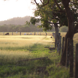 Similar image 8096470