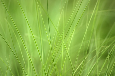 Similar image 8096472