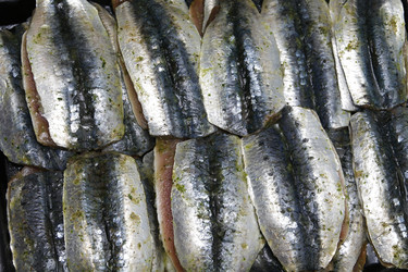 Similar image 8096475