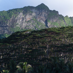 Similar image 8096483