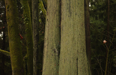 Similar image 8096486