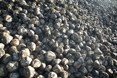 Similar image 8096488