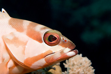 Similar image 8096495