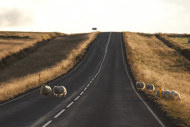 Similar image 8096503