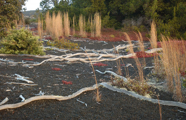 Similar image 8096505