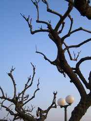 Similar image 8096507