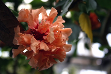 Similar image 8096510