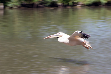 Similar image 8096525