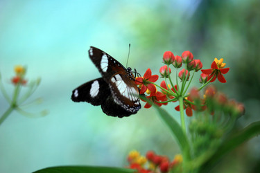 Similar image 8096536