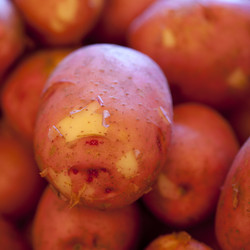 Similar image 8096538