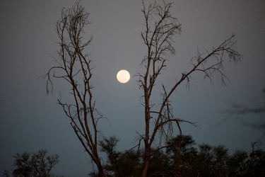 Similar image 8096542