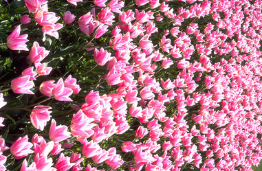 Similar image 8096551