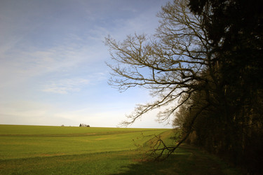 Similar image 8096556