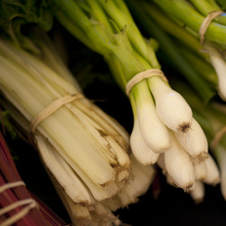 Similar image 8096557