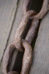 Similar image 8096561