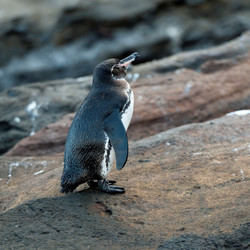 Similar image 8096563