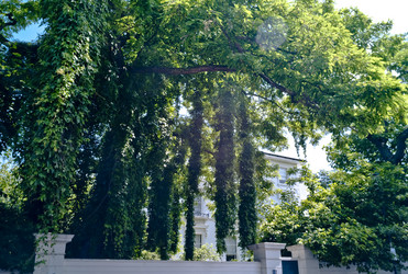 Similar image 8096564