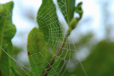 Similar image 8096567