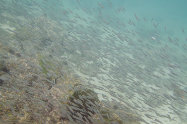 Similar image 8096573