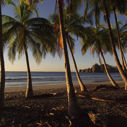 Similar image 8096576